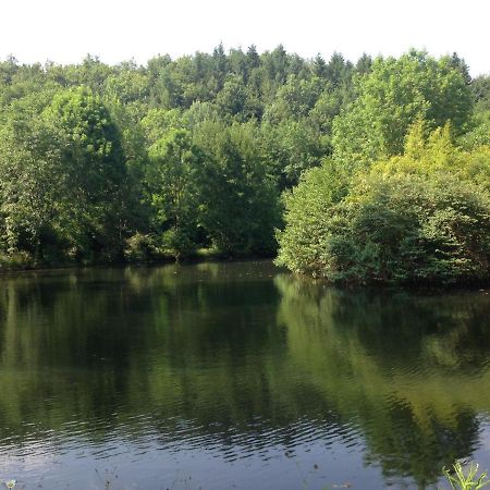 Domaine Du Moulin Bed & Breakfast Mouzieys-Teulet Bagian luar foto
