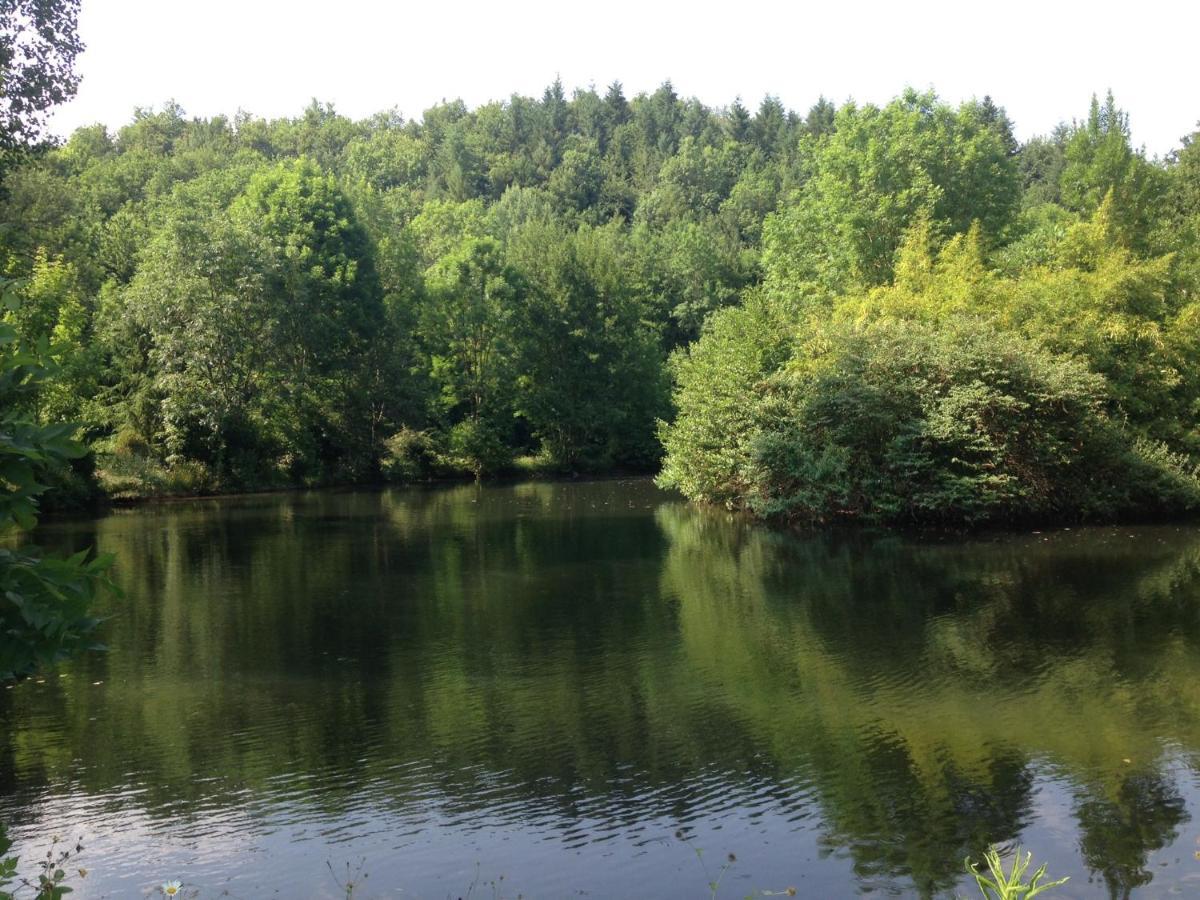 Domaine Du Moulin Bed & Breakfast Mouzieys-Teulet Bagian luar foto